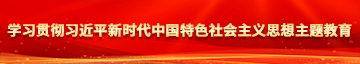 大鸡巴好爽用力学习贯彻习近平新时代中国特色社会主义思想主题教育